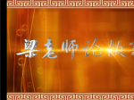 306 ĺͻĴ˵